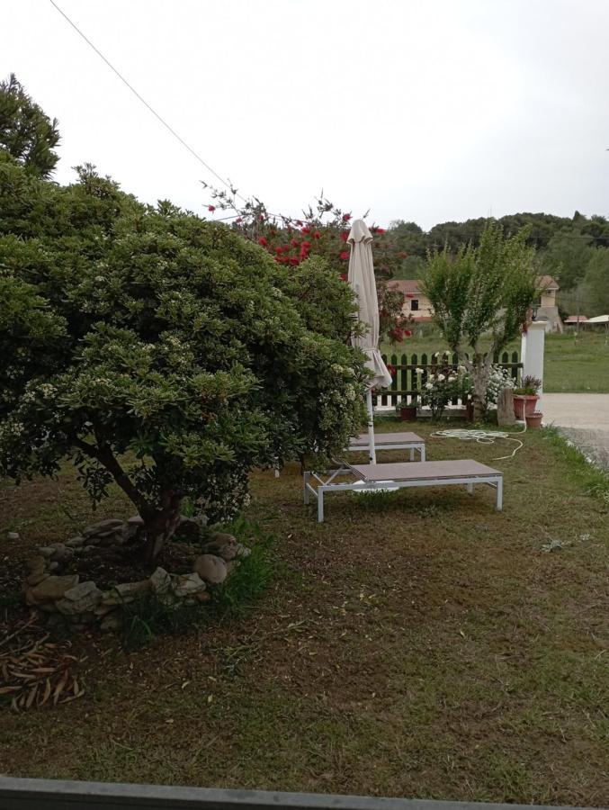 Olive House Bed & Breakfast Marathias  Exterior photo